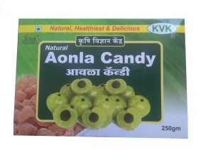 KVK's Natural Aonla Candy - Image 3