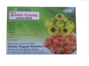 KVK's Natural Aonla Candy - Image 2